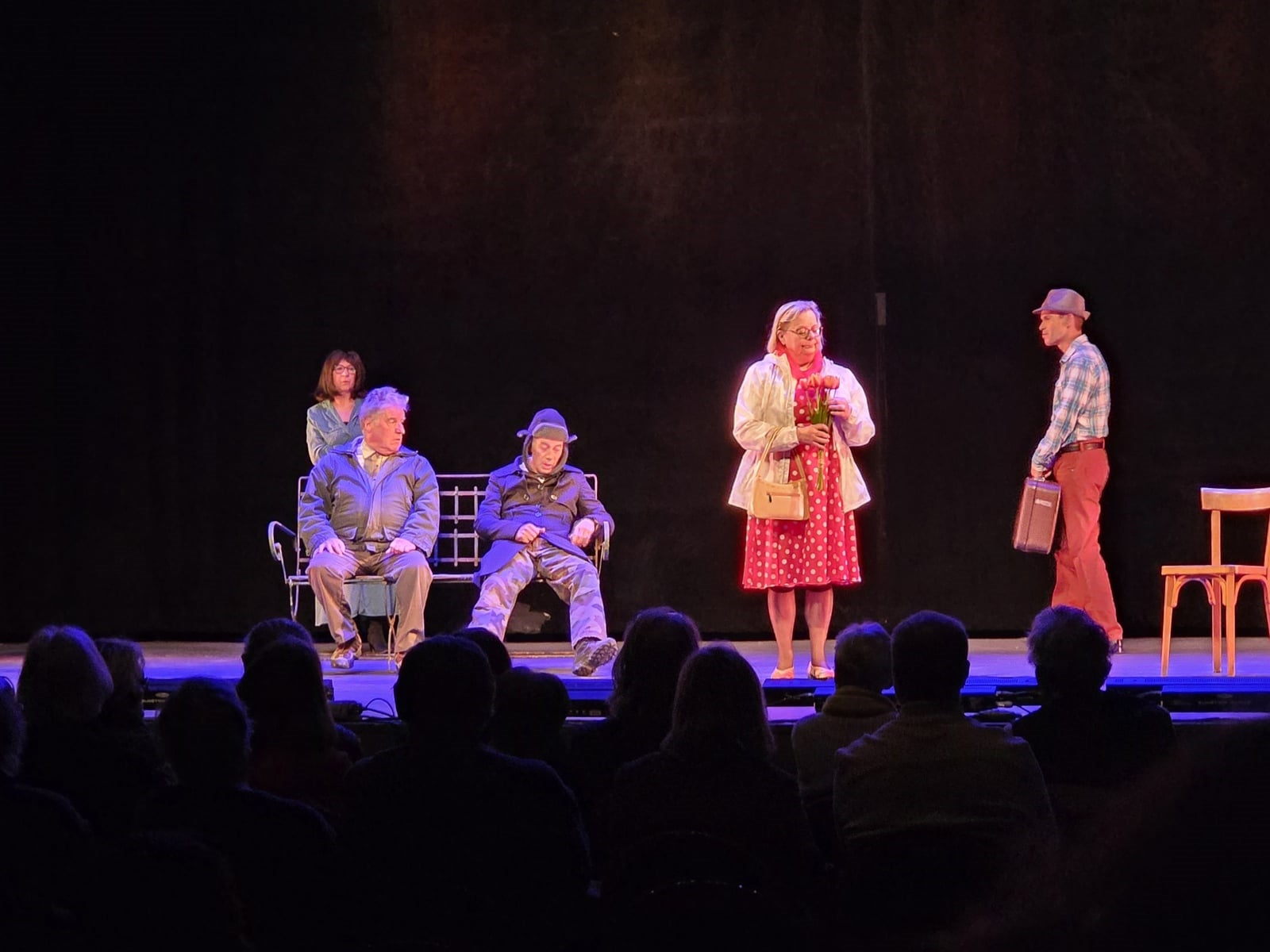 saujon comedia pas perdus